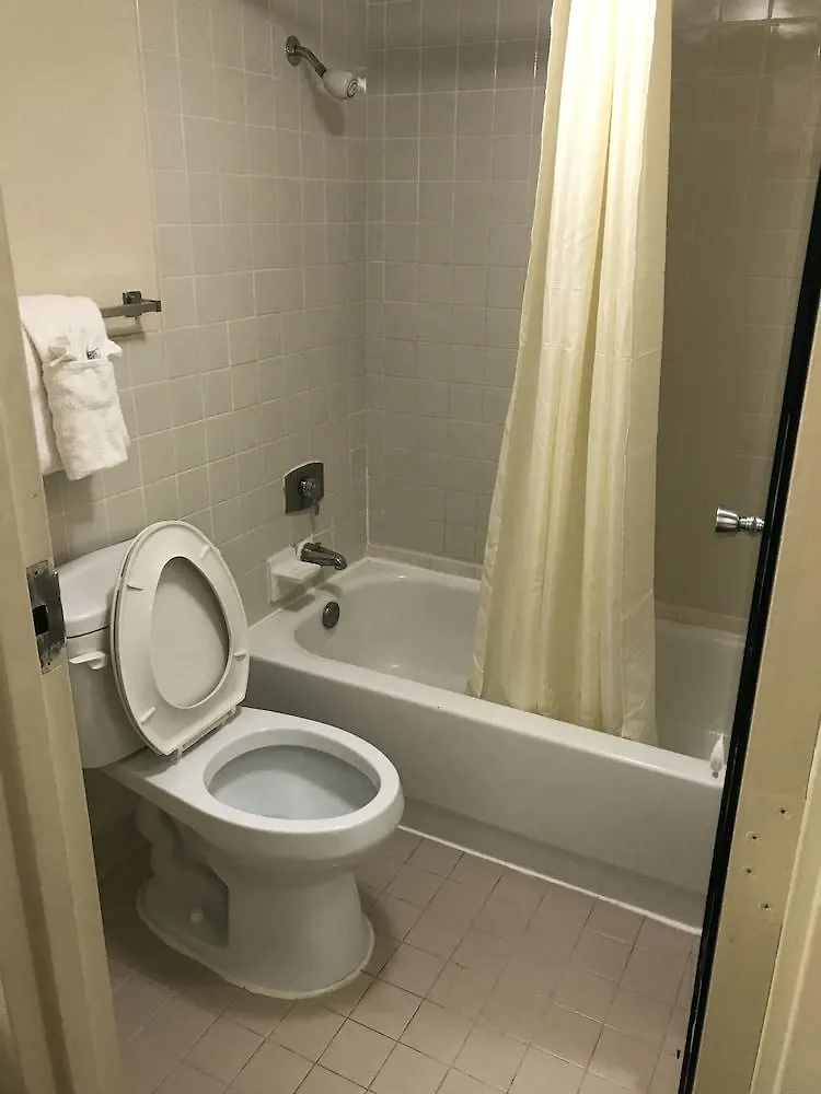 Quality Inn Tampa Lake Magdalene