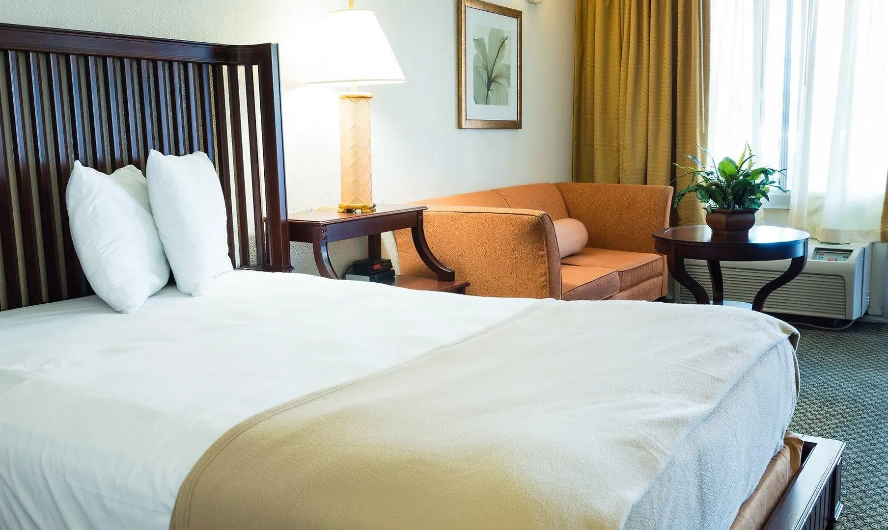 Quality Inn Tampa Lake Magdalene Hotel