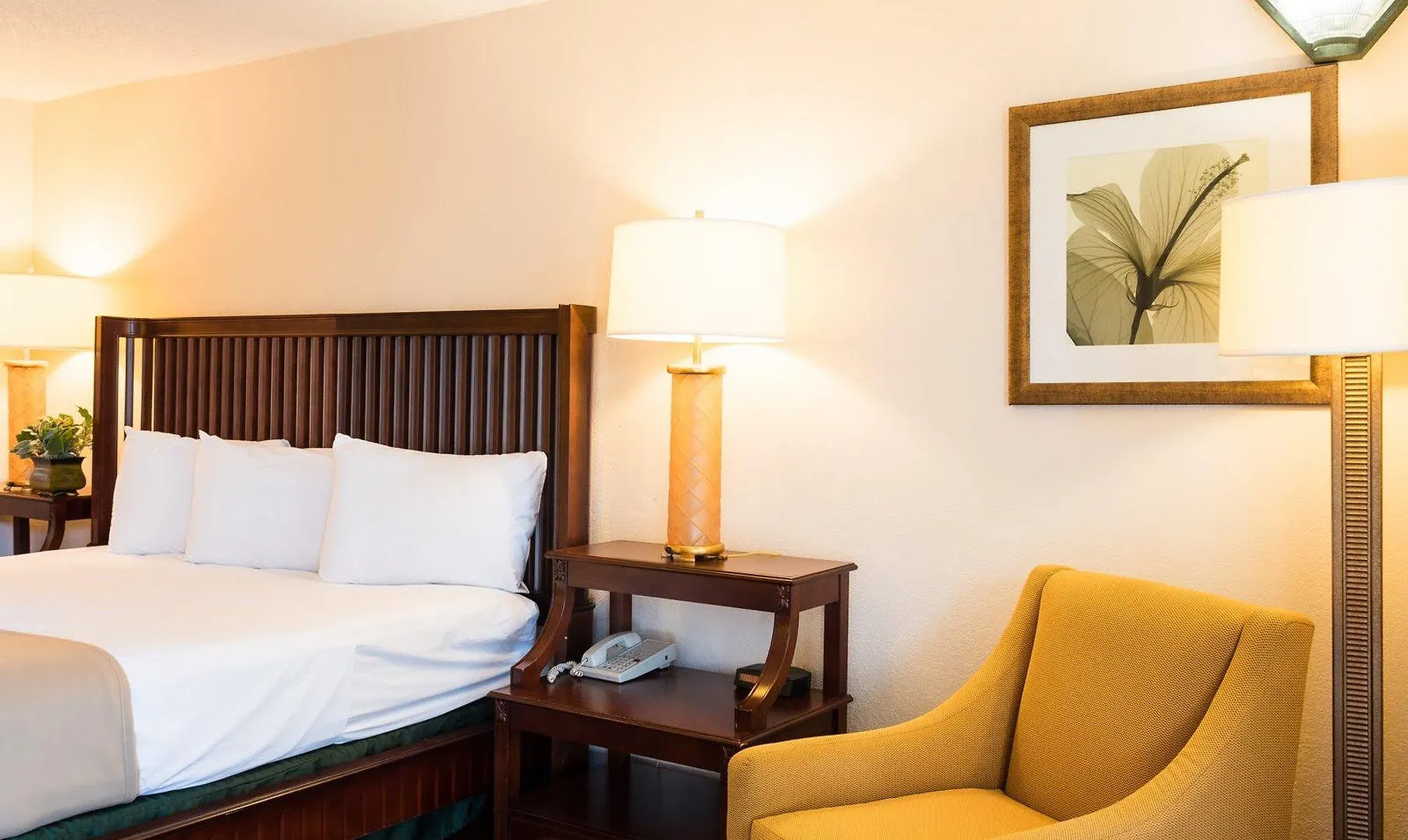 Quality Inn Tampa Lake Magdalene