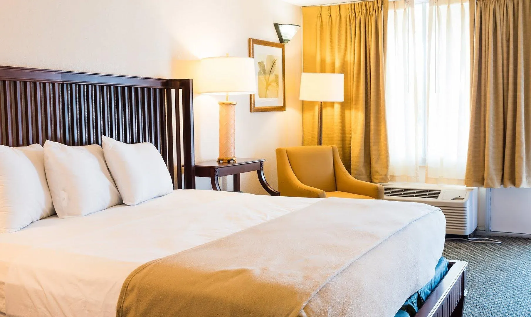 Quality Inn Tampa Lake Magdalene