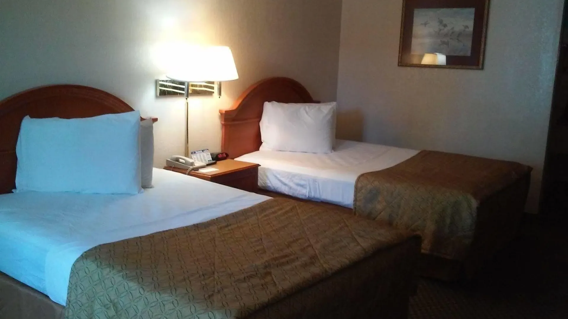 ** Hotel Quality Inn Tampa Lake Magdalene Verenigde Staten