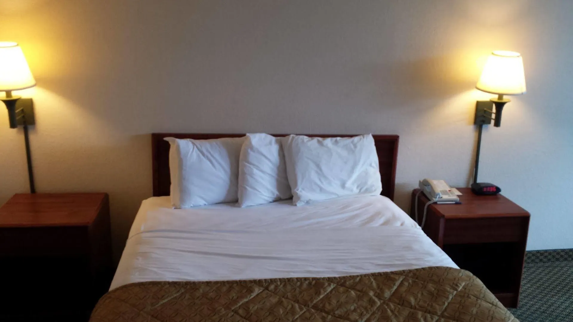 Hotel Quality Inn Tampa Lake Magdalene